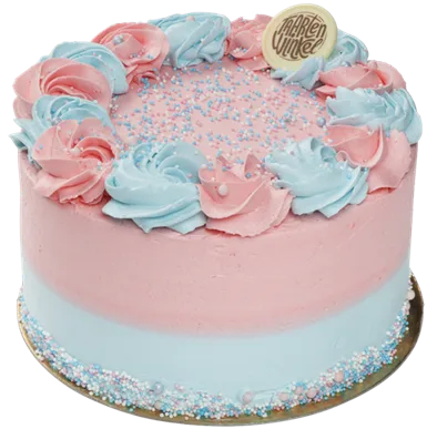 Roze en blauwe geboortetaart
